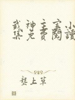 武神主宰小说全集免费阅读全文