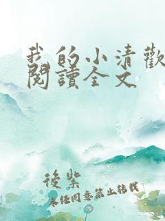 我的小清欢在线阅读全文