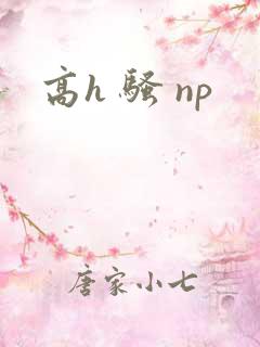 高h 骚 np