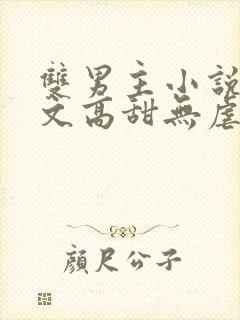 双男主小说甜宠文高甜无虐