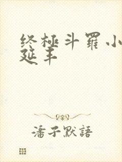 终极斗罗小说王延丰