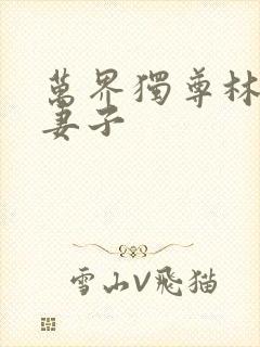 万界独尊林枫的妻子