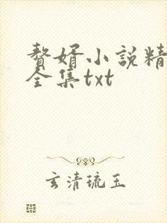赘婿小说精校版全集txt
