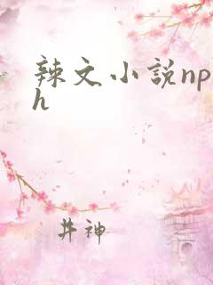 辣文小说np高h