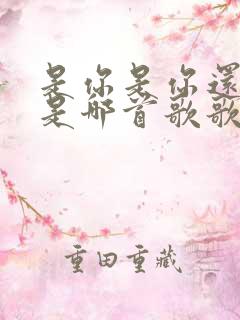 是你是你还是你是哪首歌歌词