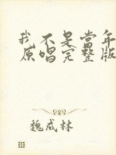 我不是当年的哥原唱完整版歌词