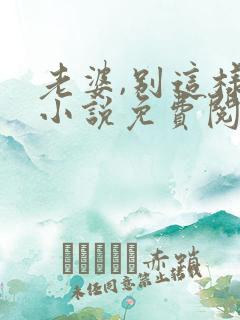 老婆,别这样 小说免费阅读