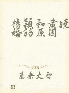 杨颖和黄晓明离婚的原因