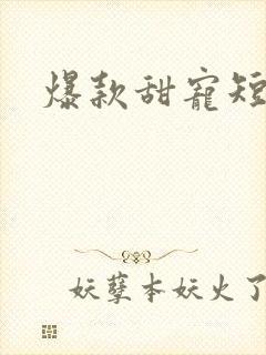 爆款甜宠短剧