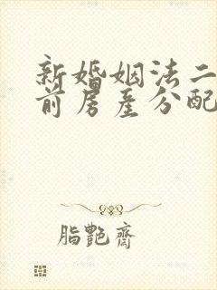 新婚姻法二婚婚前房产分配