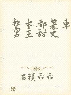 整本都是车的双男主甜文