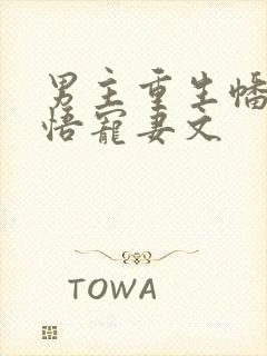 男主重生幡然醒悟宠妻文