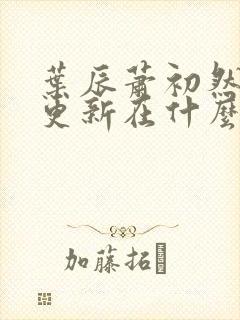 叶辰萧初然最快更新在什么时候