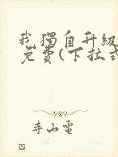 我独自升级漫画免费(下拉式)在线观看