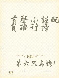 有声小说配音演员排行榜