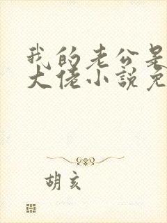 我的老公是千亿大佬小说免费阅读