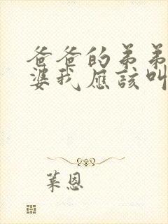 爸爸的弟弟的老婆我应该叫什么