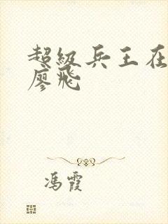 超级兵王在都市廖飞