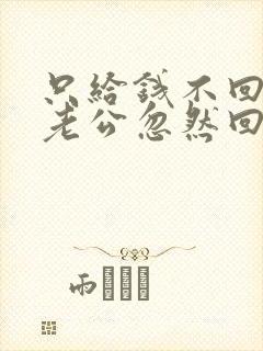 只给钱不回家的老公忽然回来了小说小说