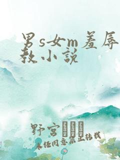 男s女m羞辱调教小说