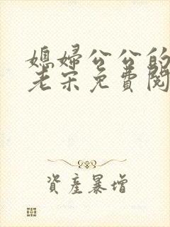 媳妇公公的小说老宋免费阅读全文