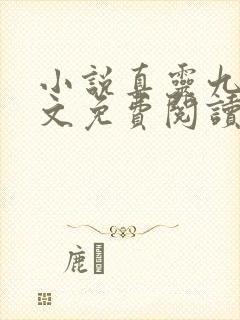 小说真灵九变全文免费阅读