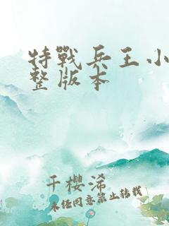 特战兵王小说完整版本