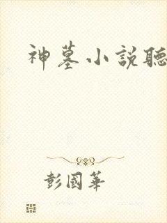 神墓小说听书