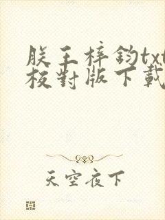 朕王梓钧txt校对版下载