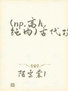 (np,高h,纯肉)古代攻受