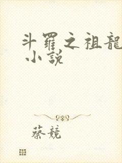 斗罗之祖龙传说 小说