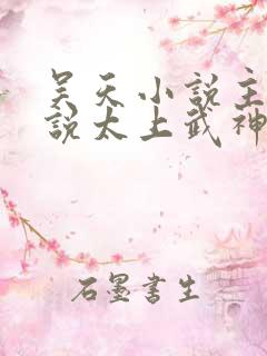 吴天小说主角小说太上武神诀免费阅读