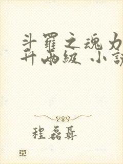 斗罗之魂力每年升两级 小说