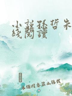 小说孙哲朱彦在线阅读