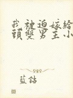 我被迫嫁给死对头双男主小说