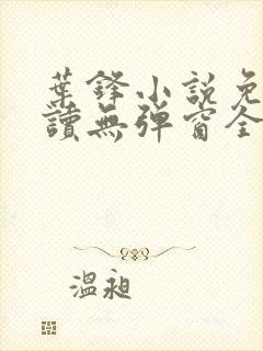 叶锋小说免费阅读无弹窗全文