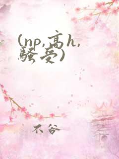 (np,高h,骚受)