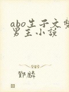 abo生子文双男主小说