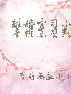 离婚官司小孩抚养权怎么判