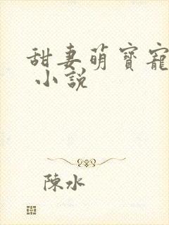 甜妻萌宝宠上天 小说