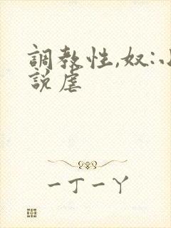 调教性,奴:小说虐