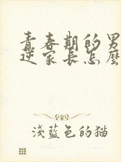 青春期的男孩叛逆家长怎么做