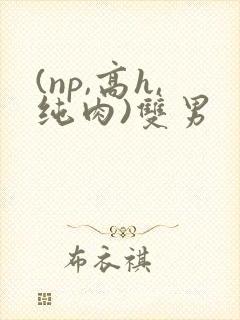 (np,高h,纯肉)双男