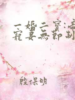 一婚二宝:帝少宠妻无节制
