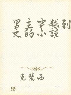 男主穿越到年代文的小说