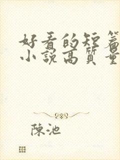 好看的短篇言情小说高质量文笔好