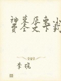 神墓辰东小说免费全文下载