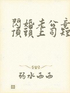 闪婚老公竟是我顶头上司短剧