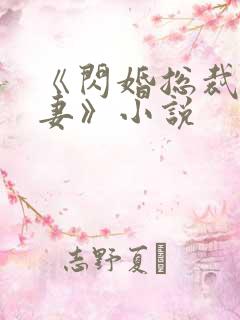 《闪婚总裁契约妻》小说