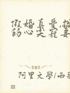 假婚真爱,总裁的心尖宠妻小说